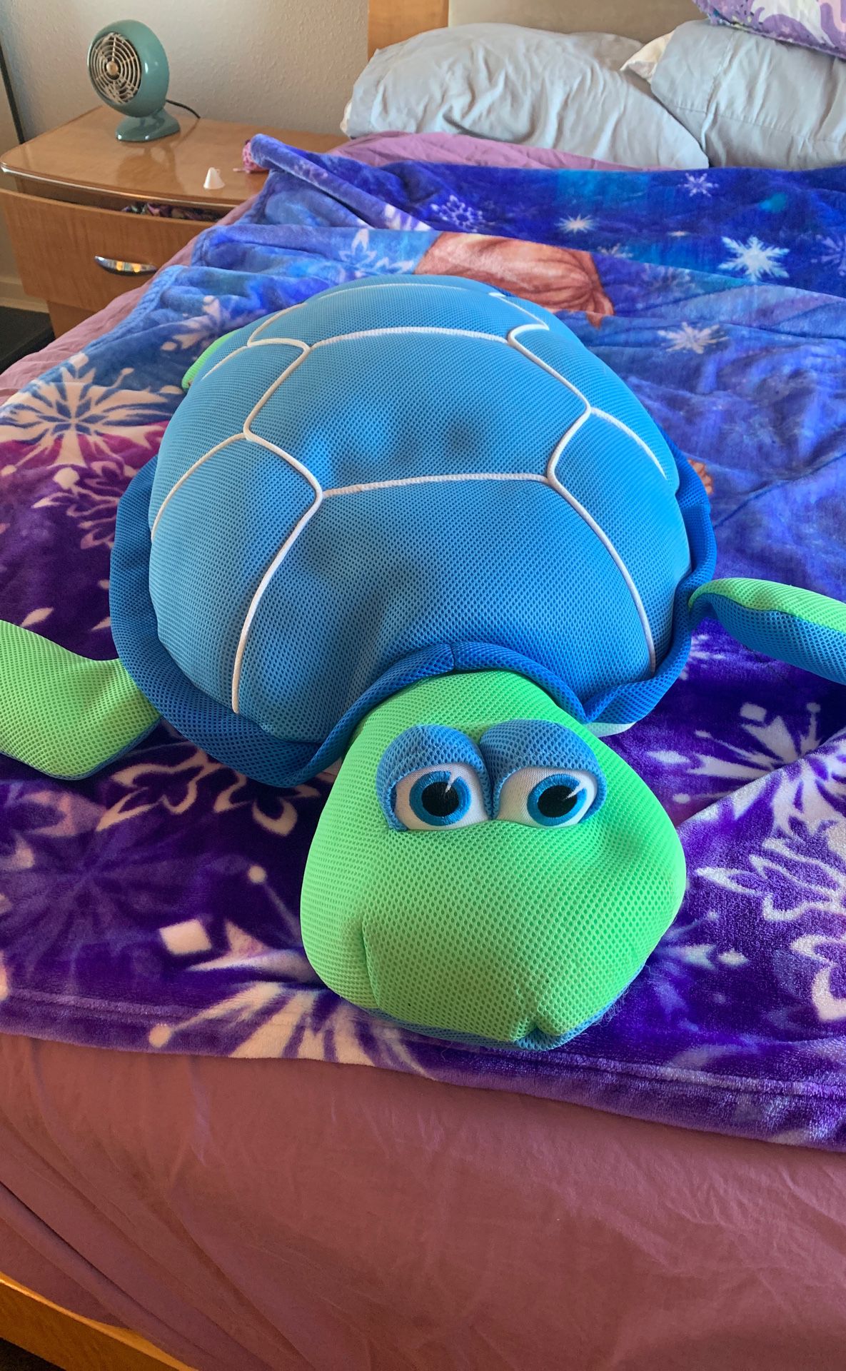 Floating turtle for pool
