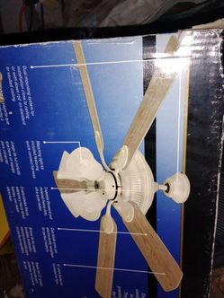 Ceiling fan