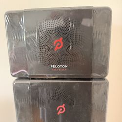 Pair Of Peloton Yoga blocks 