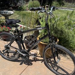 Trek Comfort Bike