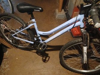 Roadmaster girls  bicycle