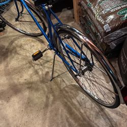 Vintage Schwinn Speedster 