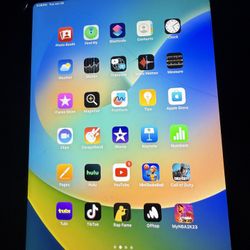 iPad Mini Used W/tiktok /capcut 