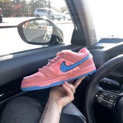 Nike SB