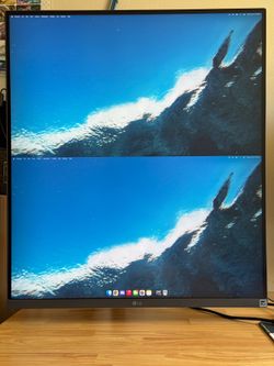 LG DualUp Monitor
