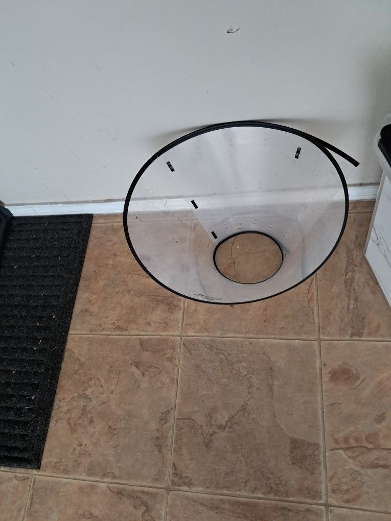 Dog After Surgery Collar