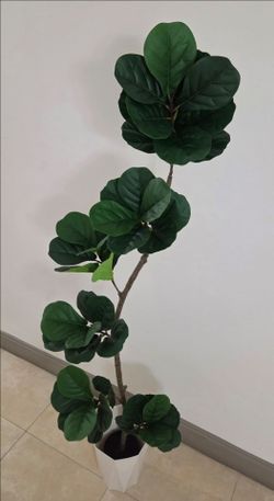 *** JUST REDUCED *** 6ft Faux Fiddle Leaf Fig Tree in an 11in (Tall) White Hexagonal Planter @ Lasting Creations
