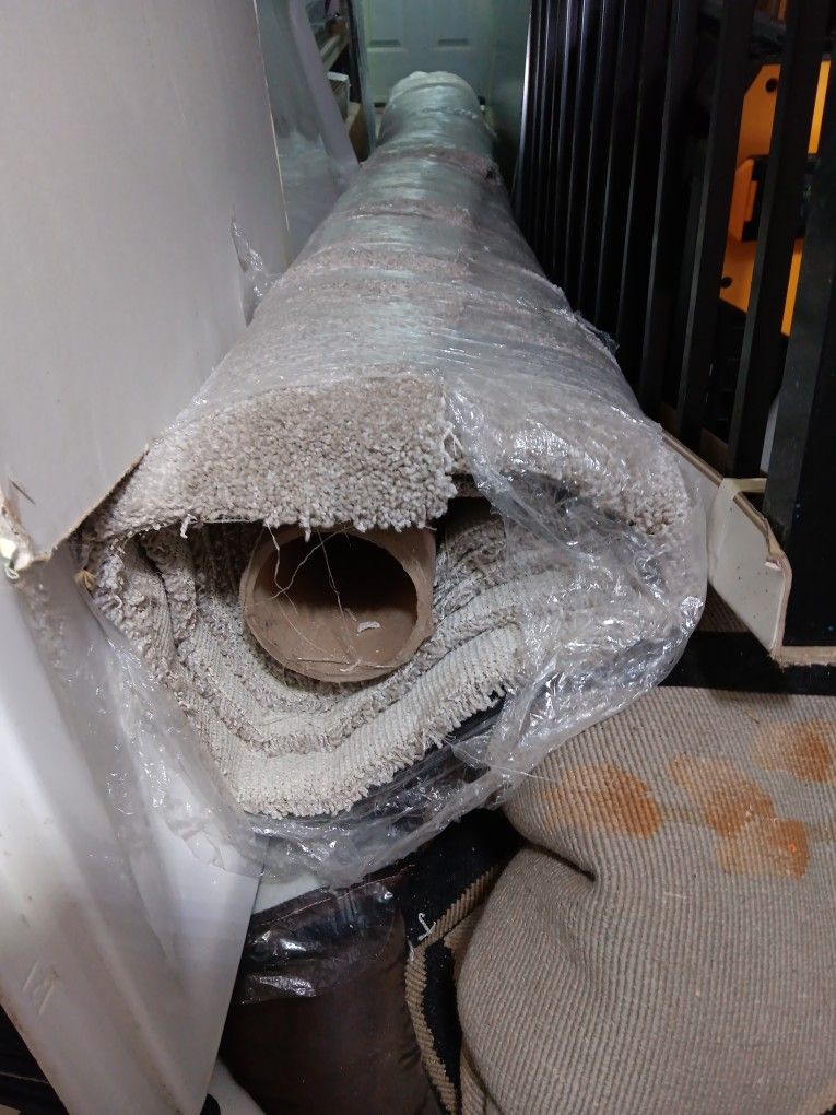 New Carpet Light Gray12x16