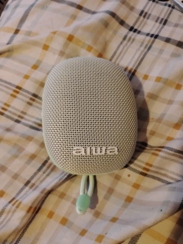 SPEAKER