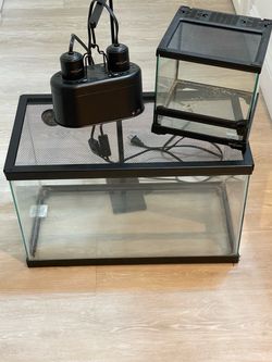 Glass Reptile Terrarium with Screen Lid and Dual Lamp