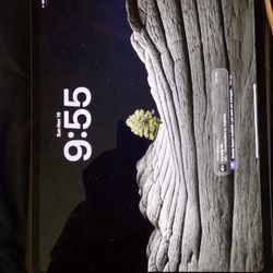 Ipad Pro M4 256gb Wifi