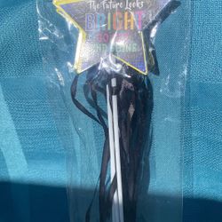 Graduation Party Foam Wands 4 Pk