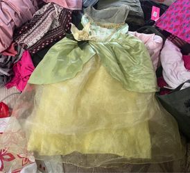 Disney Princess Costume Dress