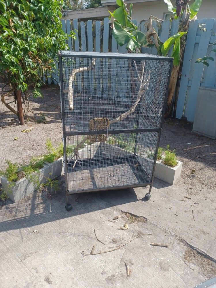 Huge Flight  Bird Cage For Canary  Or Goldian Finches