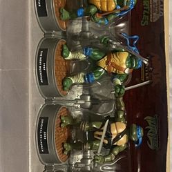 Turtles 