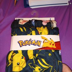 Pokemon Size Large Men Boxers