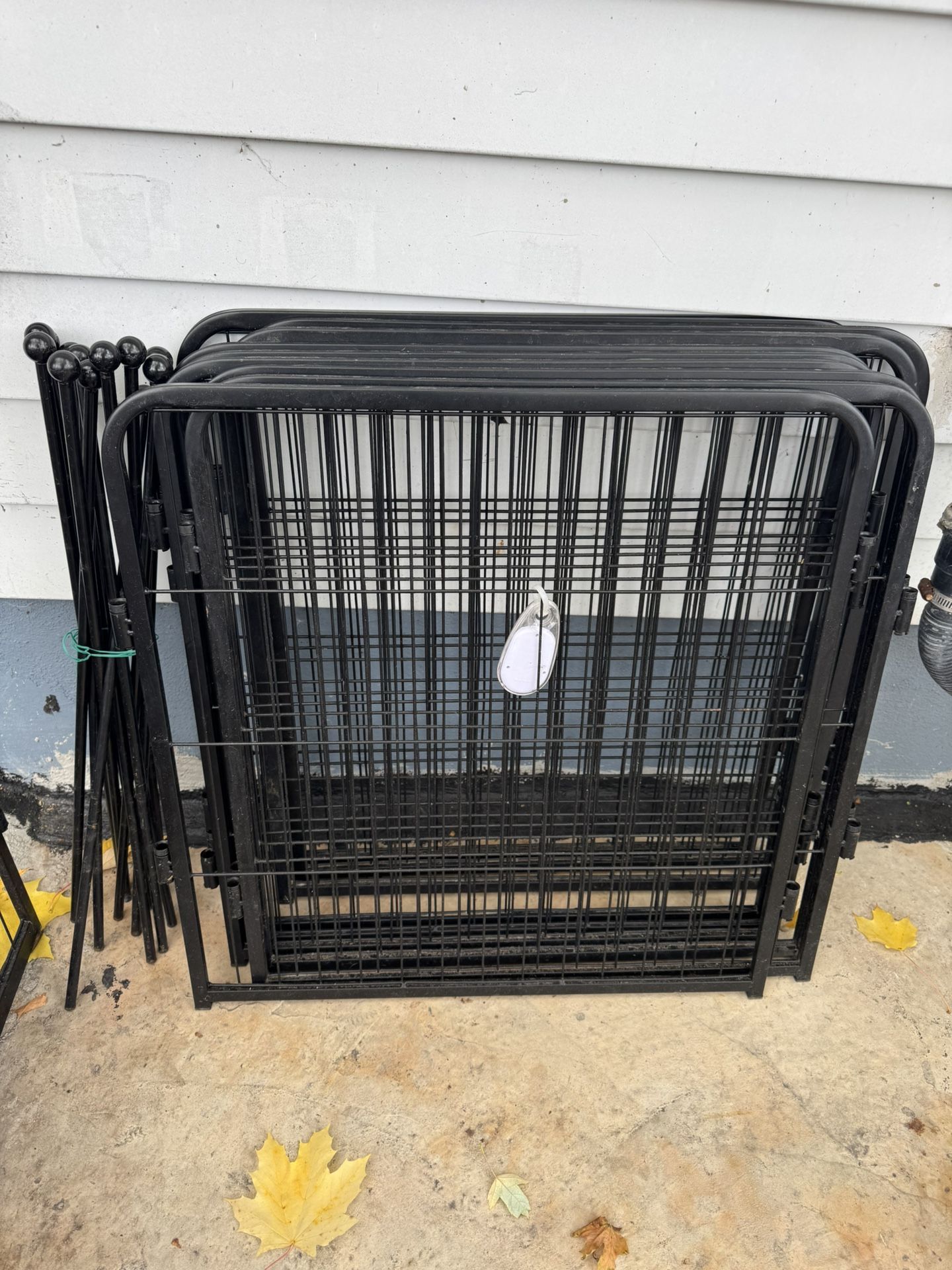 Puppy Whelping Tools