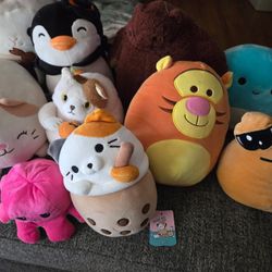 Squishmallo and other stuffed animals