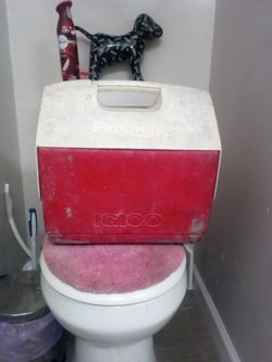 Large Snugmate  By igloo