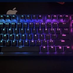razer huntsman te