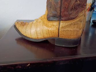 Alligator boots
