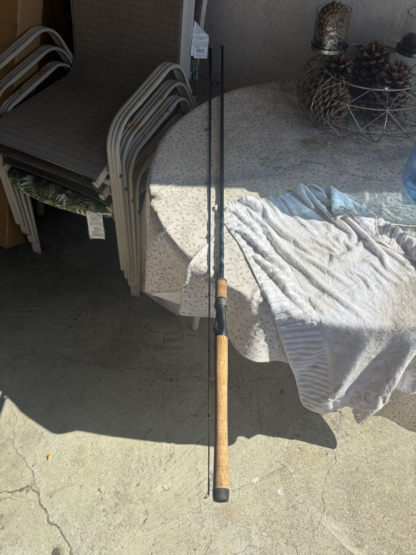 10ft Salmon Steel Head Rod MH  (Bass Pro Shop Fish Eagle)