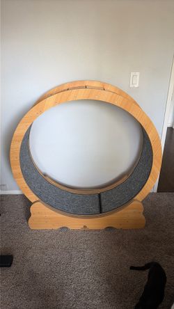 Cat Wheel