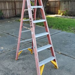 6FT LADDER