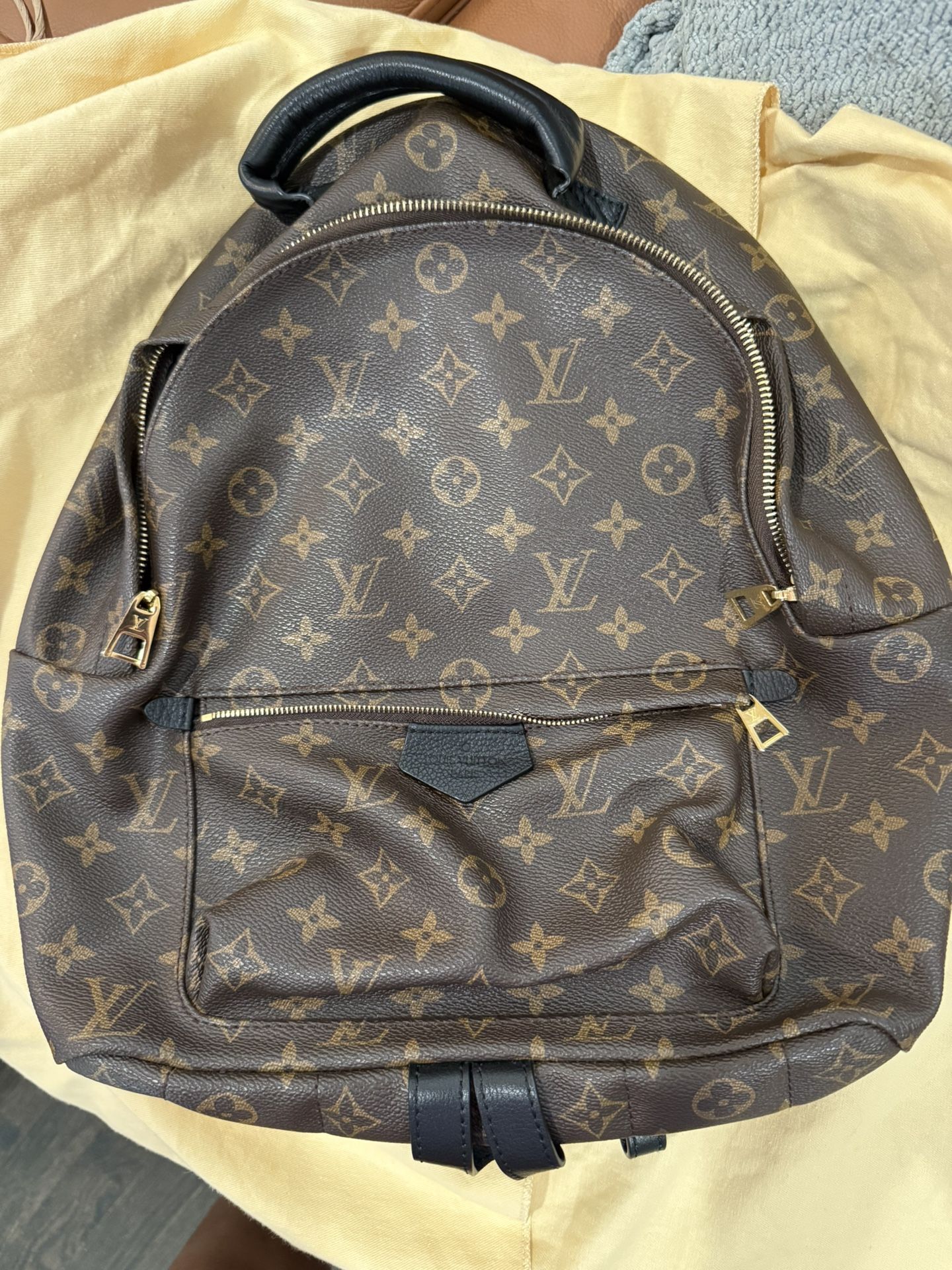 Louis Vuitton Backpack