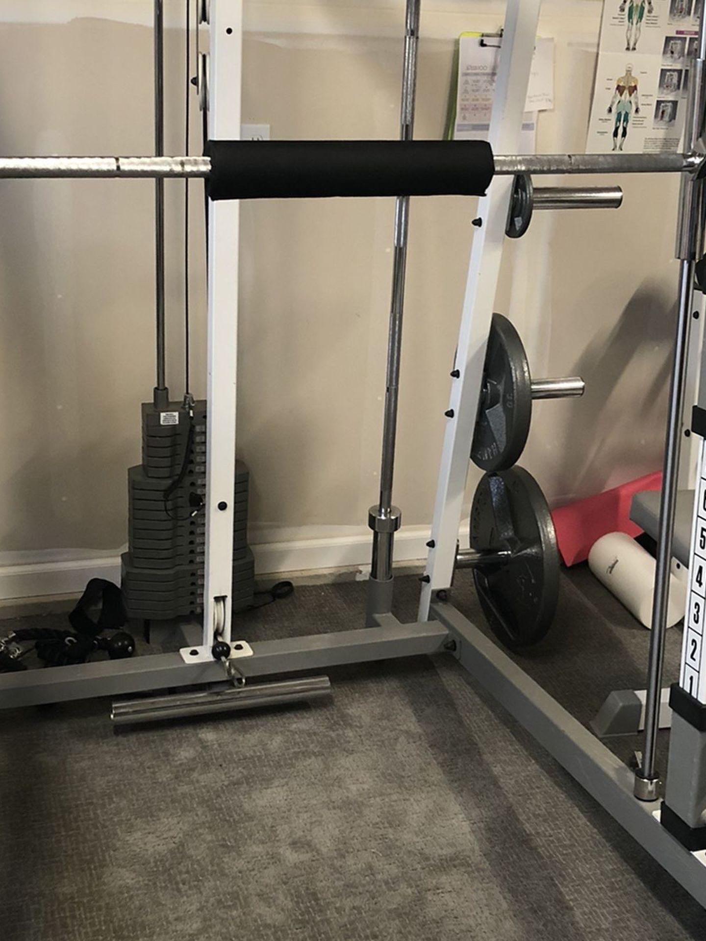 Smith Cage With Bench Plus Pull-up/Ab Tower