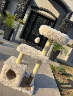 Cat climber