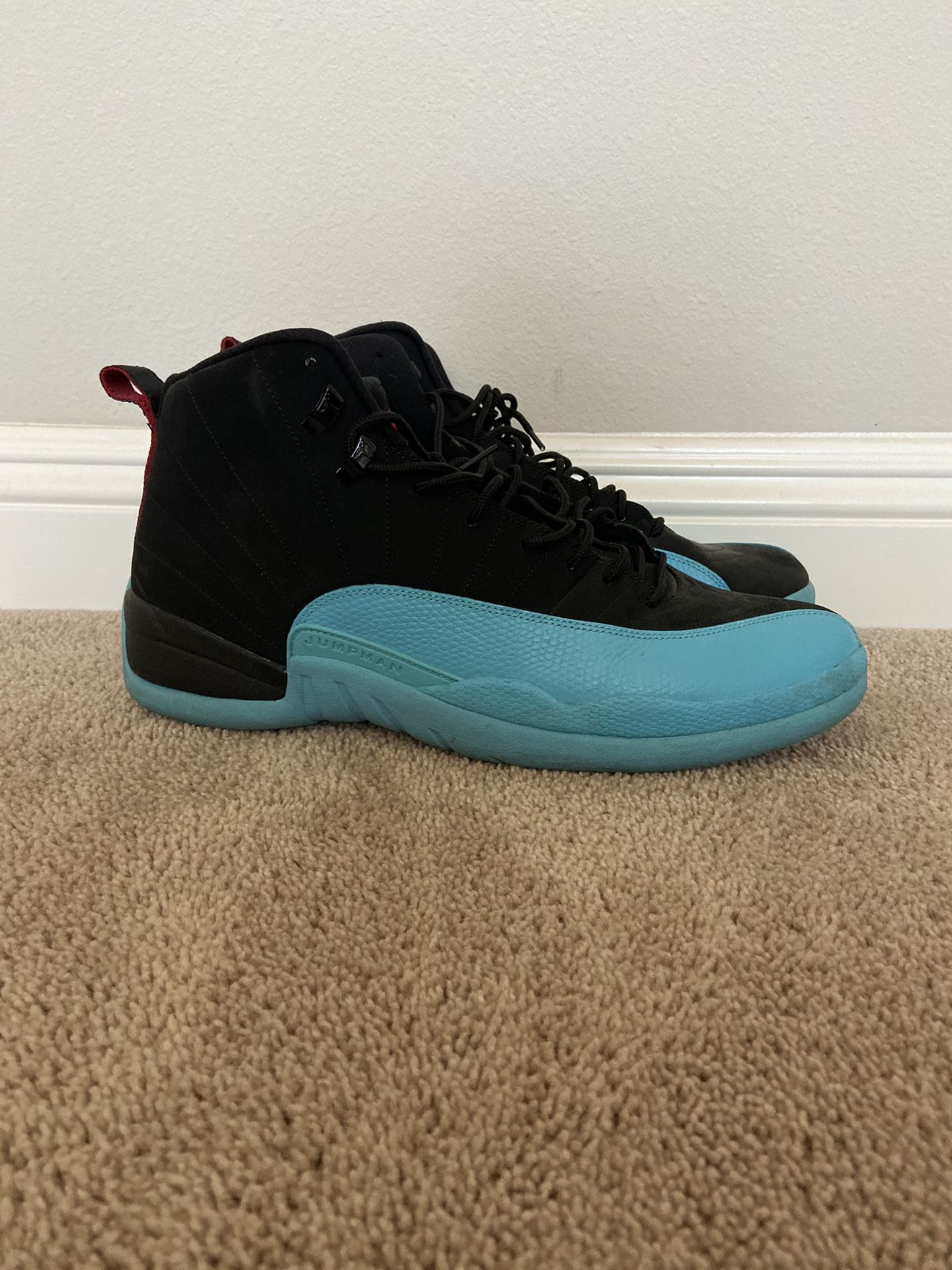 Jordan 12 size 15