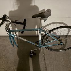 Vintage Women’s  Jamis Speed Bike