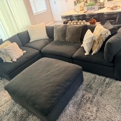 American Signature Plush Couch