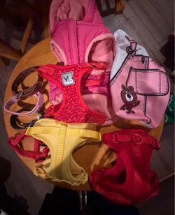 Pet harness & collars