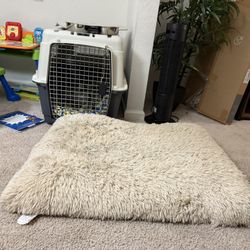 Dog kennel, Bed And Feeding Bowl. 