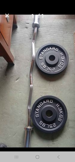 Ez Curl Bar And 25 Lb Pair Metal Weights  New