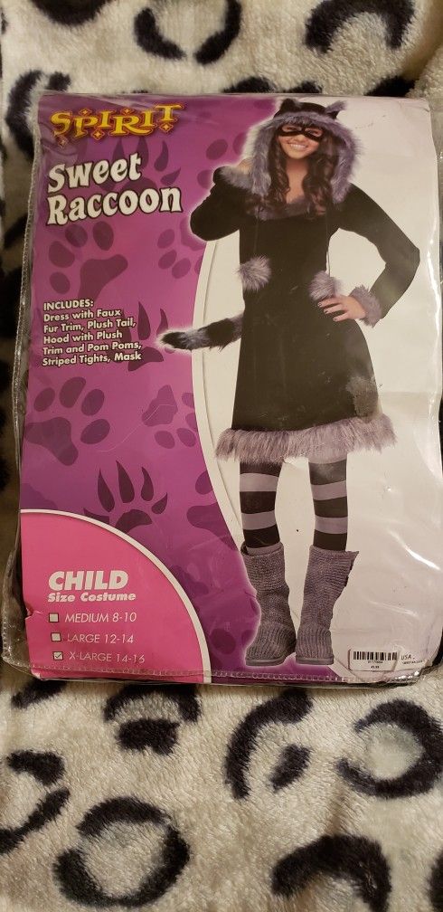 Racoon Teen Costume