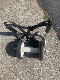 Canoe or kayak dolly