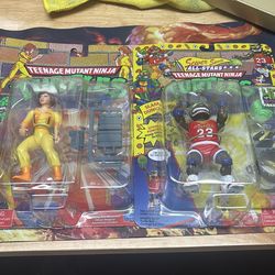 Teenage mutant ninja turtles