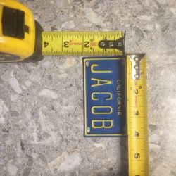 Mini Licence Plate 2"x4"