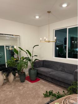 Grey Velvet Sofa