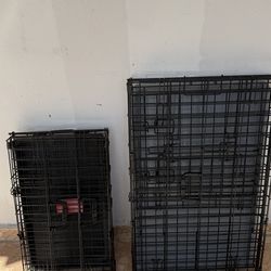 Create for small or Medium  pet