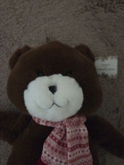 Plush Teddy Bear