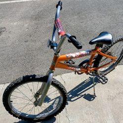 20 Size Huffy Bike 