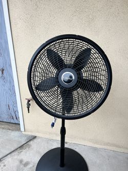 Fan