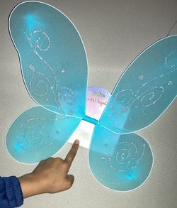 Blue Angel Wings