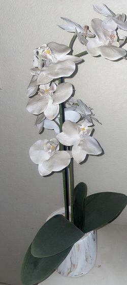 artificial orchid tree/plant
