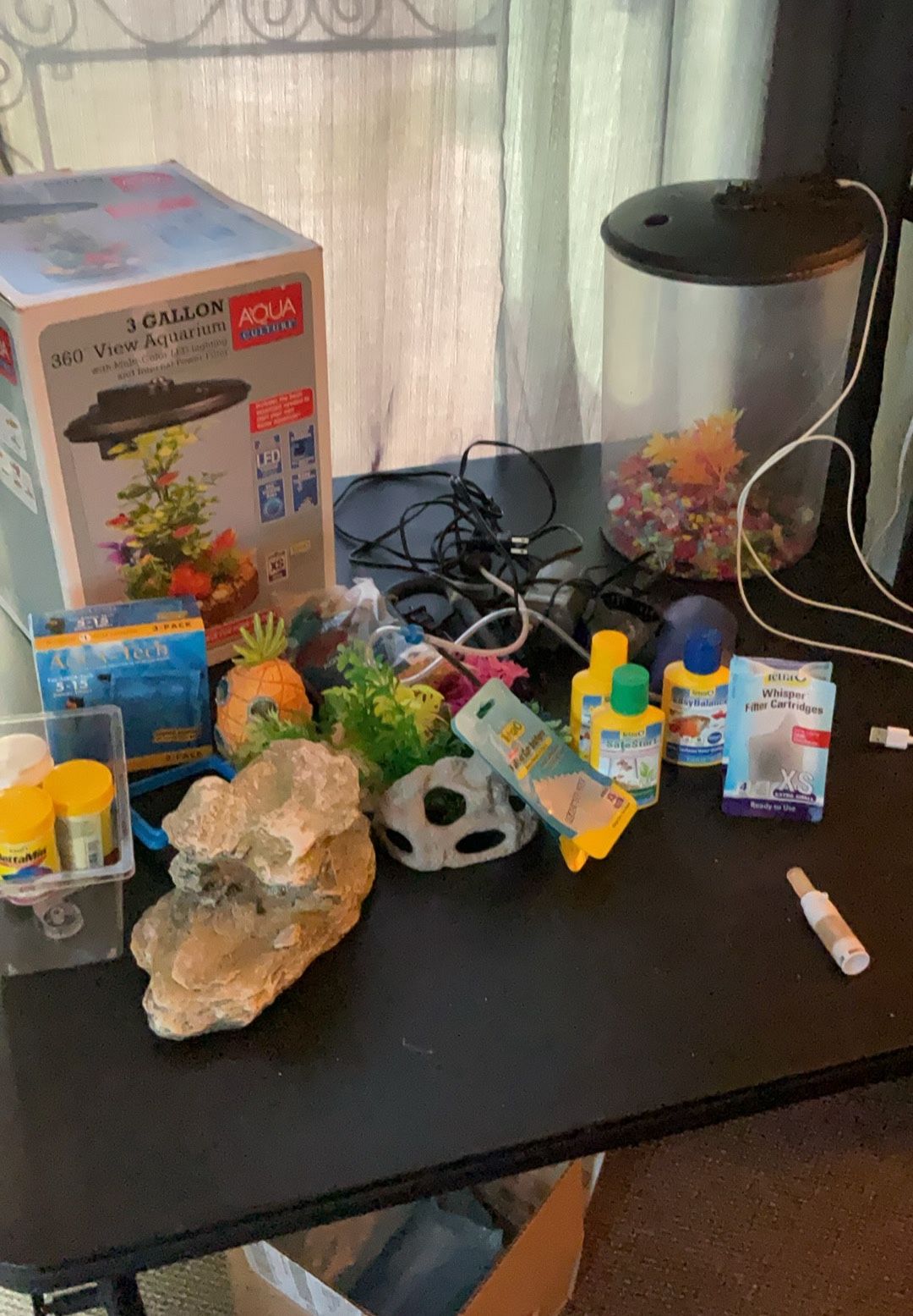 Betta Fish Tank