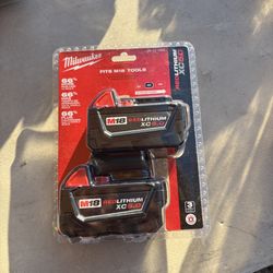Milwaukee M18 5.0 Battery Pack Of 2